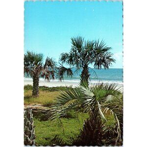 Postcard Vintage Myrtle Beach South Carolina Palmetto Palm Coastline USA